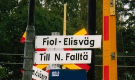 Fiol-Elis v�g